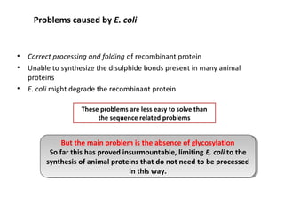 Problems caused by E. coli

•
•
•

Correct processing and folding of recombinant protein
Unable to synthesize the disulphide bonds present in many animal
proteins
E. coli might degrade the recombinant protein
These problems are less easy to solve than
the sequence related problems

But the main problem is the absence of glycosylation
But the main problem is the absence of glycosylation
So far this has proved insurmountable, limiting E. coli to the
So far this has proved insurmountable, limiting E. coli to the
synthesis of animal proteins that do not need to be processed
synthesis of animal proteins that do not need to be processed
in this way.
in this way.

 