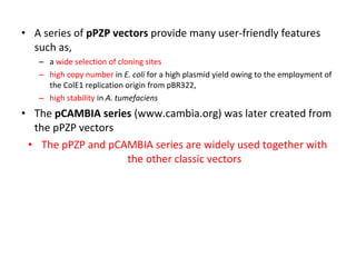 • A series of pPZP vectors provide many user-friendly features
such as,
– a wide selection of cloning sites
– high copy number in E. coli for a high plasmid yield owing to the employment of
the ColE1 replication origin from pBR322,
– high stability in A. tumefaciens

• The pCAMBIA series (www.cambia.org) was later created from
the pPZP vectors
• The pPZP and pCAMBIA series are widely used together with
the other classic vectors

 