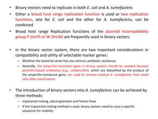 •
•

•

•

Binary vectors need to replicate in both E. coli and A. tumefaciens
Either a broad host range replication function is used or two replication
functions, one for E. coli and the other for A. tumefaciens, can be
combined
Broad host range Replication functions of the plasmid incompatibility
group P (IncP) or W (IncW) are frequently used in binary vectors
In the binary vector system, there are two important considerations in
compatibility and utility of selectable marker genes:
– Whether the bacterial strain has any intrinsic antibiotic resistance
– Secondly, the ampicillin-resistance gene in binary vectors should be avoided because
penicillin-based antibiotics (e.g., carbenicillin), which are detoxified by the product of
the ampicillin-resistance gene, are used to remove residual A. tumefaciens from plant
cells after cocultivation

•

The introduction of binary vectors into A. tumefaciens can be achieved by
three methods:
– triparental mating, electroporation and freeze thaw
– If the triparental mating method is used, binary vectors need to carry a specific
sequence for mobility

 