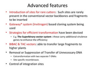 Advanced features
• Introduction of sites for rare cutters: Such sites are rarely
present in the conventional vector backbones and fragments
to be inserted
• Gateway® system (Invitrogen) based cloning system being
used
• Strategies for efficient transformation have been devised
– E.g. The Superbinary vector system : these carry additional virulence

genes to enhance the efficiency

• BIBAC & TAC vectors: able to transfer large fragments to
higher plants
• Removal or Suppression of Transfer of Unnecessary DNA
– Cotransformation with two separate T-DNAs
– Site-specific recombinases

• Control of integration sites

 