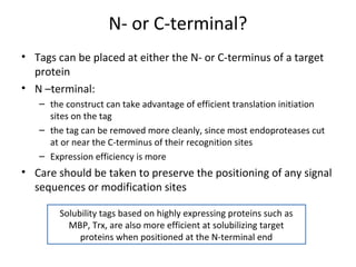 N- or C-terminal?
• Tags can be placed at either the N- or C-terminus of a target
protein
• N –terminal:
– the construct can take advantage of efficient translation initiation
sites on the tag
– the tag can be removed more cleanly, since most endoproteases cut
at or near the C-terminus of their recognition sites
– Expression efficiency is more

• Care should be taken to preserve the positioning of any signal
sequences or modification sites
Solubility tags based on highly expressing proteins such as
MBP, Trx, are also more efficient at solubilizing target
proteins when positioned at the N-terminal end

 