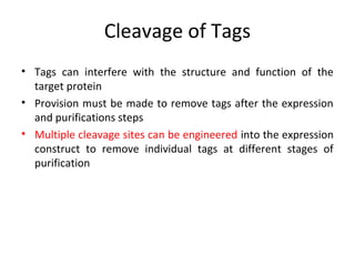 Cleavage of Tags
• Tags can interfere with the structure and function of the
target protein
• Provision must be made to remove tags after the expression
and purifications steps
• Multiple cleavage sites can be engineered into the expression
construct to remove individual tags at different stages of
purification

 