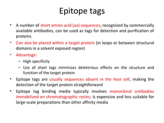 Epitope tags
•

•
•

A number of short amino acid (aa) sequences, recognized by commercially
available antibodies, can be used as tags for detection and purification of
proteins
Can also be placed within a target protein (in loops or between structural
domains in a solvent exposed region)
Advantage:
– High specificity
– Use of short tags minimizes deleterious effects on the structure and
function of the target protein

•
•

Epitope tags are usually sequences absent in the host cell, making the
detection of the target protein straightforward
Epitope tag binding media typically involves monoclonal antibodies
immobilized on chromatographic resins; is expensive and less suitable for
large-scale preparations than other affinity media

 