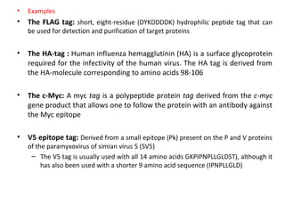 •

Examples

•

The FLAG tag: short, eight-residue (DYKDDDDK) hydrophilic peptide tag that can
be used for detection and purification of target proteins

•

The HA-tag : Human influenza hemagglutinin (HA) is a surface glycoprotein
required for the infectivity of the human virus. The HA tag is derived from
the HA-molecule corresponding to amino acids 98-106

•

The c-Myc: A myc tag is a polypeptide protein tag derived from the c-myc
gene product that allows one to follow the protein with an antibody against
the Myc epitope

•

V5 epitope tag: Derived from a small epitope (Pk) present on the P and V proteins

of the paramyxovirus of simian virus 5 (SV5)
– The V5 tag is usually used with all 14 amino acids GKPIPNPLLGLDST), although it
has also been used with a shorter 9 amino acid sequence (IPNPLLGLD)

 