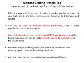 Maltose Binding Protein Tag

ranks as one of the best tags for making soluble fusions
•

MBP is a large 43 kDa secreted E. coli protein that can be expressed at
very high levels, and helps keep proteins fused at its C-terminal end
soluble

•

Can also be used for effective affinity purification, since it binds
specifically to maltose or amylose

•

Cross-linked amylose resin is used to bind MBP tagged proteins, and the
bound fusion protein can be easily eluted by adding 10 mM maltose to
the wash buffers

•

However, amylose affinity purification cannot be carried out with
reducing agents or under denaturing conditions

•

Amylose resins can be regenerated and reused several times.

 