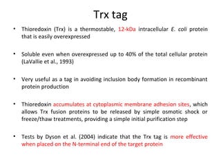 Trx tag
•

Thioredoxin (Trx) is a thermostable, 12-kDa intracellular E. coli protein
that is easily overexpressed

•

Soluble even when overexpressed up to 40% of the total cellular protein
(LaVallie et al., 1993)

•

Very useful as a tag in avoiding inclusion body formation in recombinant
protein production

•

Thioredoxin accumulates at cytoplasmic membrane adhesion sites, which
allows Trx fusion proteins to be released by simple osmotic shock or
freeze/thaw treatments, providing a simple initial purification step

•

Tests by Dyson et al. (2004) indicate that the Trx tag is more effective
when placed on the N-terminal end of the target protein

 
