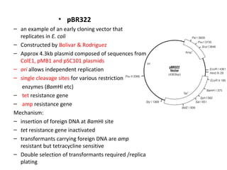 • pBR322
– an example of an early cloning vector that
replicates in E. coli
– Constructed by Bolivar & Rodriguez
– Approx 4.3kb plasmid composed of sequences from
ColE1, pMB1 and pSC101 plasmids
– ori allows independent replication
– single cleavage sites for various restriction
enzymes (BamHI etc)
– tet resistance gene
– amp resistance gene
Mechanism:
– insertion of foreign DNA at BamHI site
– tet resistance gene inactivated
– transformants carrying foreign DNA are amp
resistant but tetracycline sensitive
– Double selection of transformants required /replica
plating

 