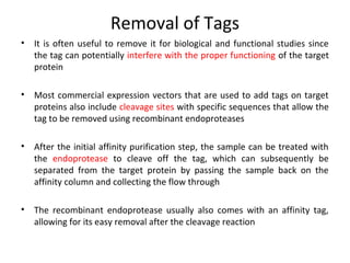 Removal of Tags
•

It is often useful to remove it for biological and functional studies since
the tag can potentially interfere with the proper functioning of the target
protein

•

Most commercial expression vectors that are used to add tags on target
proteins also include cleavage sites with specific sequences that allow the
tag to be removed using recombinant endoproteases

•

After the initial affinity purification step, the sample can be treated with
the endoprotease to cleave off the tag, which can subsequently be
separated from the target protein by passing the sample back on the
affinity column and collecting the flow through

•

The recombinant endoprotease usually also comes with an affinity tag,
allowing for its easy removal after the cleavage reaction

 