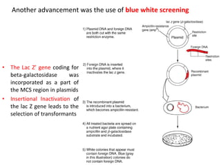 Another advancement was the use of blue white screening

•

•

The Lac Z’ gene coding for
beta-galactosidase
was
incorporated as a part of
the MCS region in plasmids
Insertional Inactivation of
the lac Z gene leads to the
selection of transformants

 