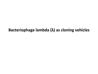 Bacteriophage lambda (λ) as cloning vehicles

 