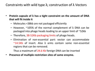 Constraints with wild type λ; construction of λ Vectors
• Protein capsule of λ has a tight constraint on the amount of DNA
that will fit inside it
– Molecules <38kb are not packaged efficiently
– However, ~105% of the normal complement of λ DNA can be
packaged into phage heads leading to an upper limit of ~52kb
– Therefore, 38-52Kb packaging limits of phage heads.
– Elimination of non-essential part: vector can accommodate
~14.5Kb of insert. Also λ arms contain some non-essential
regions that can be removed.
Thus a maximum of 24.6 Kb foreign DNA can be inserted
• Presence of multiple restriction sites of same enzyme.

 
