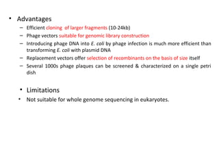 • Advantages
– Efficient cloning of larger fragments (10-24kb)
– Phage vectors suitable for genomic library construction
– Introducing phage DNA into E. coli by phage infection is much more efficient than
transforming E. coli with plasmid DNA
– Replacement vectors offer selection of recombinants on the basis of size itself
– Several 1000s phage plaques can be screened & characterized on a single petri
dish

• Limitations
• Not suitable for whole genome sequencing in eukaryotes.

 