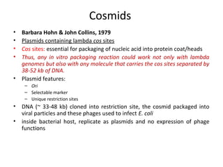Cosmids
•
•
•
•
•

Barbara Hohn & John Collins, 1979
Plasmids containing lambda cos sites
Cos sites: essential for packaging of nucleic acid into protein coat/heads
Thus, any in vitro packaging reaction could work not only with lambda
genomes but also with any molecule that carries the cos sites separated by
38-52 kb of DNA.
Plasmid features:
– Ori
– Selectable marker
– Unique restriction sites

•
•

DNA (~ 33-48 kb) cloned into restriction site, the cosmid packaged into
viral particles and these phages used to infect E. coli
inside bacterial host, replicate as plasmids and no expression of phage
functions

 