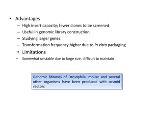 • Advantages
–
–
–
–

High insert capacity; fewer clones to be screened
Useful in genomic library construction
Studying larger genes
Transformation frequency higher due to in vitro packaging

• Limitations
•

Somewhat unstable due to large size, difficult to maintain

Genomic libraries of Drosophila, mouse and several
Genomic libraries of Drosophila, mouse and several
other organisms have been produced with cosmid
other organisms have been produced with cosmid
vectors
vectors

 
