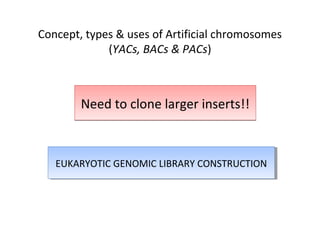 Concept, types & uses of Artificial chromosomes
(YACs, BACs & PACs)

Need to clone larger inserts!!

EUKARYOTIC GENOMIC LIBRARY CONSTRUCTION
EUKARYOTIC GENOMIC LIBRARY CONSTRUCTION

 