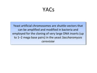 YACs
Yeast artificial chromosomes are shuttle-vectors that
Yeast artificial chromosomes are shuttle-vectors that
can be amplified and modified in bacteria and
can be amplified and modified in bacteria and
employed for the cloning of very large DNA inserts (up
employed for the cloning of very large DNA inserts (up
to 1–2 mega base pairs) in the yeast Saccharomyces
to 1–2 mega base pairs) in the yeast Saccharomyces
cerevisiae
cerevisiae

 