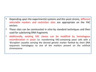 •

•
•

Depending upon the experimental systems and the yeast strains, different
selectable markers and restriction sites are appropriate on the YAC
vectors.
These sites can be constructed in vitro by standard techniques and then
used for subcloning DNA fragments
Additionally, existing YAC clones can be modified by homologous
recombination in yeast i.e. transforming YAC-containing yeast cells with a
'disruption cassette carrying the desired genetic marker flanked by short DNA
sequences homologous to one of the markers present on the artificial
chromosome.

 