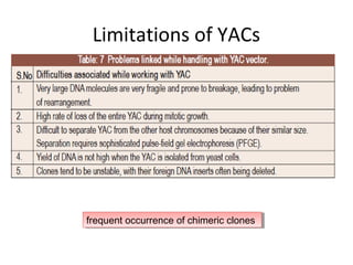 Limitations of YACs

frequent occurrence of chimeric clones
frequent occurrence of chimeric clones

 