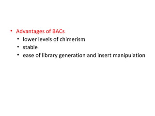 • Advantages of BACs
• lower levels of chimerism
• stable
• ease of library generation and insert manipulation

 