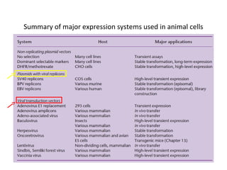 Summary of major expression systems used in animal cells

 