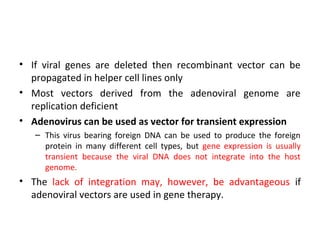 • If viral genes are deleted then recombinant vector can be
propagated in helper cell lines only
• Most vectors derived from the adenoviral genome are
replication deficient
• Adenovirus can be used as vector for transient expression
– This virus bearing foreign DNA can be used to produce the foreign
protein in many different cell types, but gene expression is usually
transient because the viral DNA does not integrate into the host
genome.

• The lack of integration may, however, be advantageous if
adenoviral vectors are used in gene therapy.

 