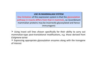 USE IN MAMMALIAN SYSTEM
USE IN MAMMALIAN SYSTEM
One limitation of this expression system is that the glycosylation
One limitation of this expression system is that the glycosylation
pathway in insects differs from that in mammals, so recombinant
pathway in insects differs from that in mammals, so recombinant
mammalian proteins may be incorrectly glycosylated and hence
mammalian proteins may be incorrectly glycosylated and hence
immunogenic
immunogenic
 Using insect cell lines chosen specifically for their ability to carry out
mammalian-type post-translational modifications, e.g. those derived from
Estigmene acrea
 Expressing appropriate glycosylation enzymes along with the transgene
of interest

 
