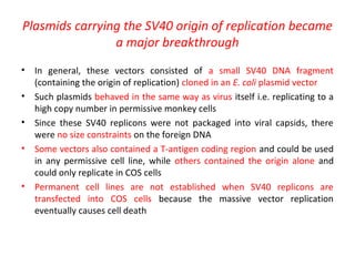 Plasmids carrying the SV40 origin of replication became
a major breakthrough
•
•
•
•

•

In general, these vectors consisted of a small SV40 DNA fragment
(containing the origin of replication) cloned in an E. coli plasmid vector
Such plasmids behaved in the same way as virus itself i.e. replicating to a
high copy number in permissive monkey cells
Since these SV40 replicons were not packaged into viral capsids, there
were no size constraints on the foreign DNA
Some vectors also contained a T-antigen coding region and could be used
in any permissive cell line, while others contained the origin alone and
could only replicate in COS cells
Permanent cell lines are not established when SV40 replicons are
transfected into COS cells because the massive vector replication
eventually causes cell death

 
