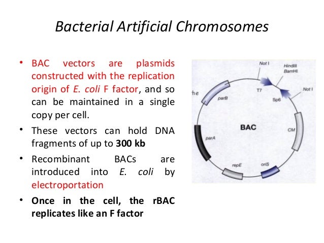 MICROBIAL BIOTECHNOLOGY