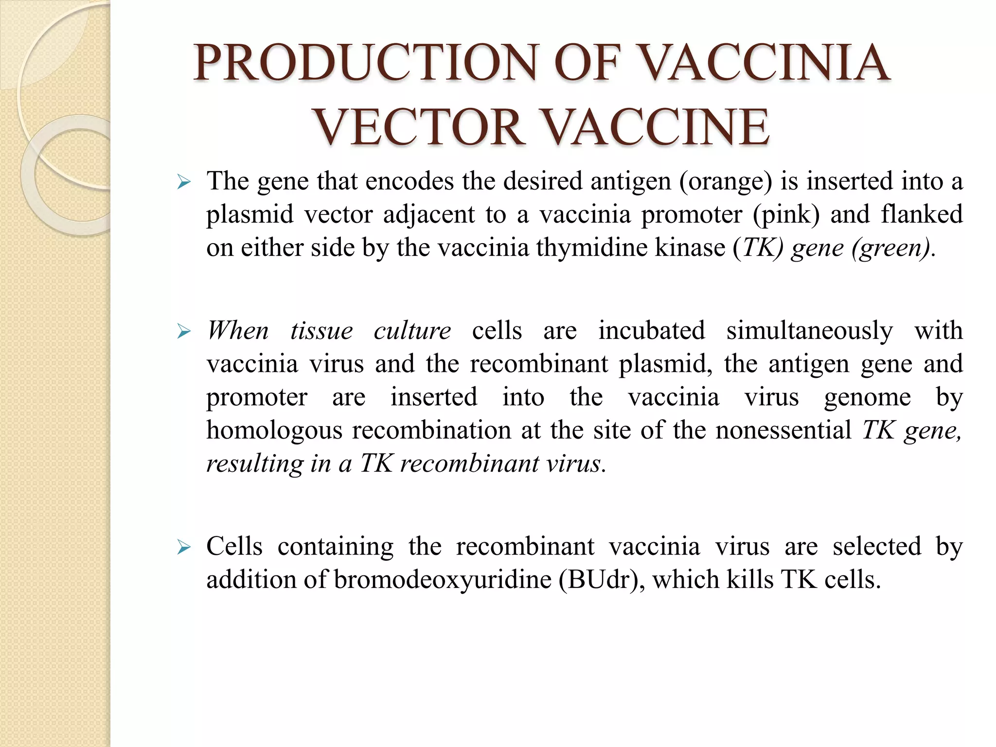 PRODUCTION OF VACCINIA
VECTOR VACCINE
 The gene that encodes the desired antigen (orange) is inserted into a
plasmid vector adjacent to a vaccinia promoter (pink) and flanked
on either side by the vaccinia thymidine kinase (TK) gene (green).
 When tissue culture cells are incubated simultaneously with
vaccinia virus and the recombinant plasmid, the antigen gene and
promoter are inserted into the vaccinia virus genome by
homologous recombination at the site of the nonessential TK gene,
resulting in a TK recombinant virus.
 Cells containing the recombinant vaccinia virus are selected by
addition of bromodeoxyuridine (BUdr), which kills TK cells.
 