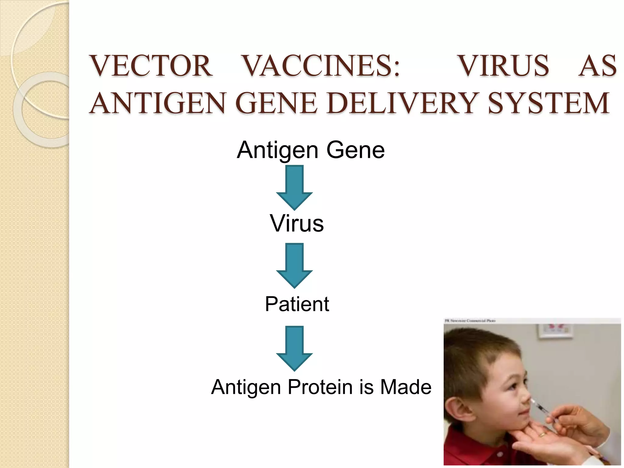 VECTOR VACCINES: VIRUS AS
ANTIGEN GENE DELIVERY SYSTEM
Antigen Gene
Virus
Patient
Antigen Protein is Made
 