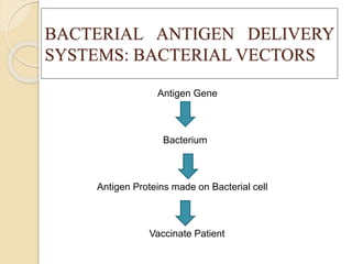 BACTERIAL ANTIGEN DELIVERY
SYSTEMS: BACTERIAL VECTORS
Antigen Gene
Bacterium
Antigen Proteins made on Bacterial cell
Vaccinate Patient
 
