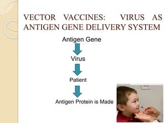 VECTOR VACCINES: VIRUS AS
ANTIGEN GENE DELIVERY SYSTEM
Antigen Gene
Virus
Patient
Antigen Protein is Made
 