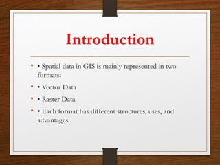 vector_vs_raster_data_presentation..pptx
