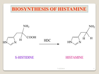 BIOSYNTHESIS OF HISTAMINE 
HDC 
HN N 
NH2 
H 
COOH 
HN N 
H 
S-HISTIDINE HISTAMINE 
NH2 
H 
7/10/2014 4 
 