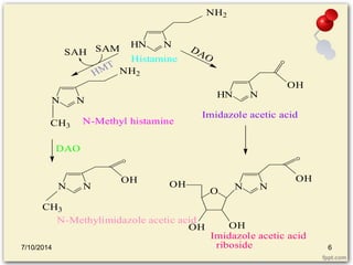 HN N 
NH2 
HN N 
O 
Imidazole acetic acid 
Histamine 
OH 
SAH SAM 
N N 
NH2 
CH3 
N-Methyl histamine 
N N 
CH3 
O 
OH 
N-Methylimidazole acetic acid 
N N 
O 
OH 
OH OH 
O 
OH 
Imidazole acetic acid 
riboside 
HMT 
DAO 
DAO 
7/10/2014 6 
 