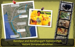 Bandipur and Bandhavgarh National Park
Vedant Shivaramakrishnan

 