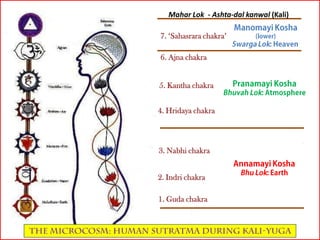 Mahar Lok - Ashta-dal kanwal (Kali)
1. Guda chakra
2. Indri chakra
3. Nabhi chakra
4. Hridaya chakra
5. Kantha chakra
6. Ajna chakra
7. ‘Sahasrara chakra’
 