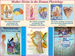 I
n
t
h
e
B
r
a
i
n
*
T
h
e
D
e
i
t
i
e
s
 