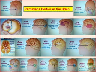 Ramayana Deities in the Brain
 