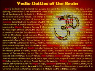 – Agni is Electricity (or Electrons) that powers the world. Fire is in heaven as the sun, in air as
lightning, and on earth as fire from friction, latent fire (Vaishwanara): subterranean fire, fire in trees,
fire of digestion etc. In the brain, it is Thalamus. – Indra is Jivatma or Energy, Cerebrum, controlling
the Sensory and Motor nerves. The energy is fuelled by Soma- nectar, cerebro-spinal fluid in its
ventricles, described as giver of Pranas and Virya- sperm. – Mitra-Varuna are Proton-Electron
(Aryaman being Neutron), the children of Aditi. Mitra-Varuna control Ashwin twins- Prana-Apana or
Sensory-afferent & Motor-efferent nerves, in turn, regulated by Surya (Buddhi- intellect). They are
connected to Maruts- Pranas or Sensory & Motor nerves, the sons of Rudra- Pons. The Adityas are
the messengers of Mitra-Varuna, the 12 pairs of brain nerves that terminate at Pons. – Vishnu (Vedic)
is Sun (Virat- macro) or Atom (Vaman- micro), Universal or Nuclear Energy. His 3 steps are: 1. Prithvi-
Earth or Merudanda- spinal cord upto Medulla Oblongata (Surya) 2. Antariksha- Atmosphere upto
Thalamus (Agni) & 3. Dyu- Heavens upto Cerebrum (Indra). – Surya, provider of energy to the world,
represents its Prana. Sun is Corpus Striatum, the ganglion connected to Sensory & Motor nerves; its ‘7
horses’ refer to Gyanendriyas: 2 eyes, 2 nostrils, 2 ears & tongue, whereby it receives signals from the
environment and passes them onto Indra or brain. Savita-Savitri are its static-dynamic aspects. Savitri
is solar energy to earth and Gayatri the returning energy from earth to the sun. – Aditi is Chidakash,
the creative power of Vishnu, located in Central Sulcus, the lateral fissure of the brain containing
centres of Sensory-Motor nerves. She gets Karmendriyas (Motor nerves) to execute messages
received by Gyanendriyas (Sensory nerves). Aditi is matter, Daksha is energy– born from one-another.
She is mother of 8 Vasus– head, trunk, limbs, eyes, nostrils, ears, tongue & speech centre (Martanda).
Diti is her opposite: her sons are Asuras, Daityas, Danavas etc. – Tridevis, the respective goddesses of
heaven, atmosphere & earth are: Pingla (Ganga), Sushumna (Saraswati) & Ida (Yamuna), Prana, Vak &
Manas being their tattwas. Saraswati is Vak, provider of Soma from Mansarovar (4 ventricles: 2 in
Cerebrum- heaven, in Thalamus- atmosphere & Medulla- earth), to Indra or jivatma.
Vedic Deities of the Brain
 