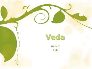 Week 3
Erde
 