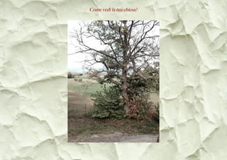 Come vedi la tua chiesa?
 