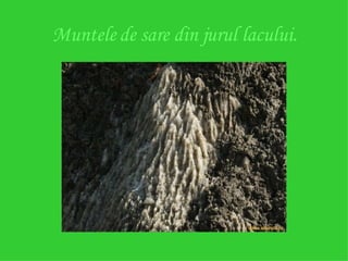 Muntele de sare din jurul lacului. 