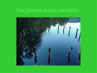 Sau format aceste cerculete. 