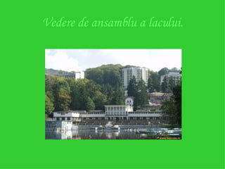 Vedere de ansamblu a lacului. 