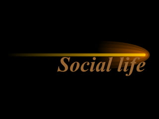 Social life 