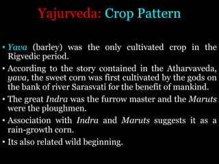 Yajurveda: Crop Pattern
• Yava (barley) was the only cultivated crop in the
Rigvedic period.
• According to the story contained in the Atharvaveda,
yava, the sweet corn was first cultivated by the gods on
the bank of river Sarasvati for the benefit of mankind.
• The great Indra was the furrow master and the Maruts
were the ploughmen.
• Association with Indra and Maruts suggests it as a
rain-growth corn.
• Its also related wild beginning.
 