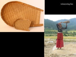 winnowing fan
 
