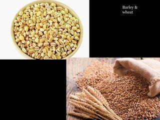 Barley &
wheat
 