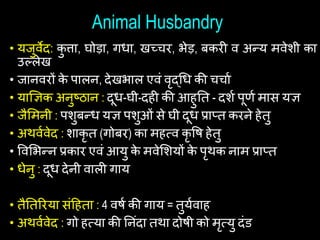 Animal Husbandry
• यजुवेद: क
ु िा, घोड़ा, गिा, खच्िर, भेड़, बकरी व अन्य मवेशी का
उल्लेख
• जानवरों क
े पालन, देखभाल एवां वृद्चि की ििाथ
• याज्ञिक अनुष्ठान : दूि-घी-दिी की आिुयत - दशथ पूिथ मास यि
• जैशमनी : पशुबन्ि यि पशुओां से घी दूि प्राप्त करने िेतु
• अथवथवेद : शाकृ त (गोबर) का मित्व कृ षि िेतु
• षवशभन्न प्रकार एवां आयु क
े मवेशशयों क
े पृथक नाम प्राप्त
• िेनु : दूि देनी वाली गाय
• तैयतररया सांहिता : 4 विथ की गाय = तुयथवाि
• अथवथवेद : गो ित्या की यनांदा तथा दोिी को मृत्यु दांड
 